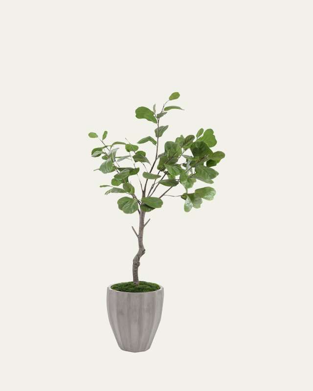Coastal Fog Faux Fig Tree